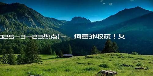 (2025-3-23热点)-遛狗意外收获！女子狗爪夹出3克金豆 网友直呼旺财